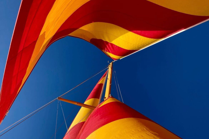 chart, surface chart